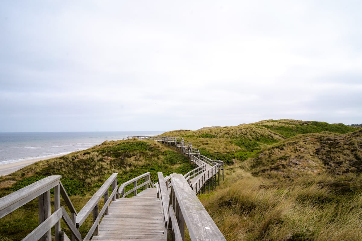 A wooden boardwalk with steps leads through grassy dunes along the North Sea coast.