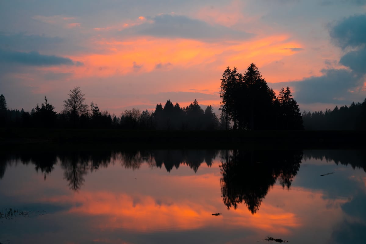 Rosa und orange leuchtende Wolken über einem bewaldeten Seeufer mit Spiegelung im Wasser.