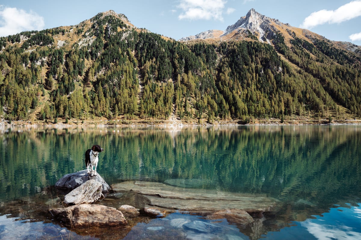 A person stands on a rock beside a clear mountain lake reflecting forest and peaks.