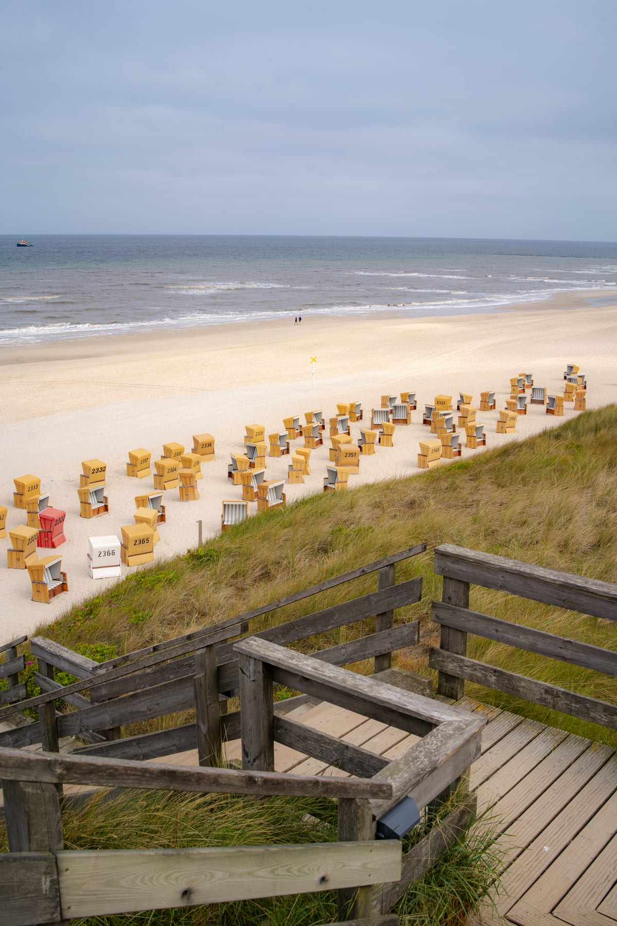 A view from wooden steps across yellow and white hooded beach chairs towards the sandy beach and North Sea.