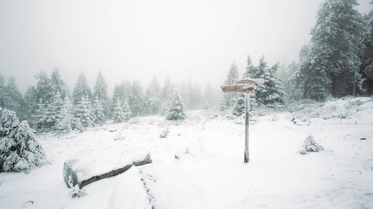 Verschneite Lichtung mit Wegweiser, Felsen und Nadelbäumen im Nebel.