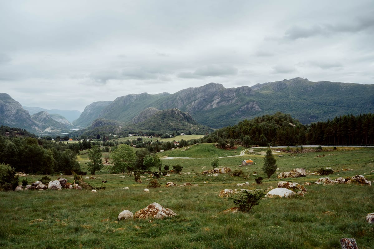 Grüne Weiden mit verstreuten Felsen und Bäumen vor einer weiten Berglandschaft unter grauen Wolken.
