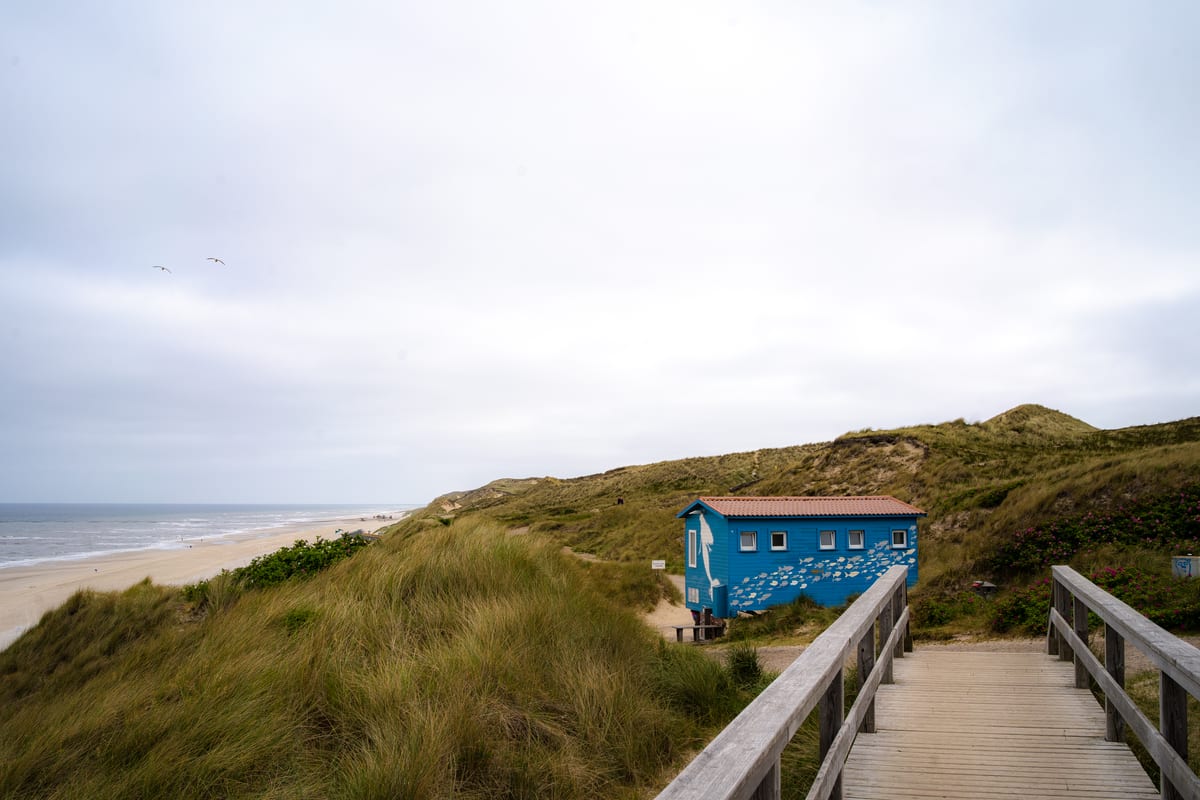 Wooden steps lead through grassy dunes towards a blue hut overlooking the beach and sea.