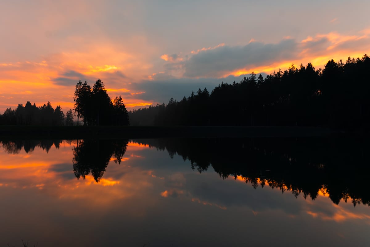 Orange evening light and dark forest silhouettes reflected in a still lake.